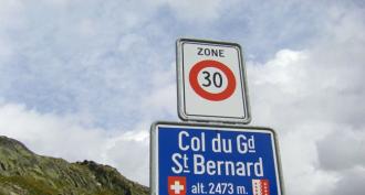 Great St Bernard Pass Dog Cosmetics Yves St Bernard