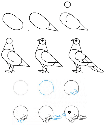 Птица поэтапно. Рисование птиц для детей. Рисование птицы для детей 5-6 лет. Поэтапное рисование птиц для детей. Схемы рисования птиц для дошкольников.
